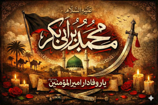 محمّد بن ابی‌بکر؛ از علی علیه‌السّلام تا علیّ اعلی ...